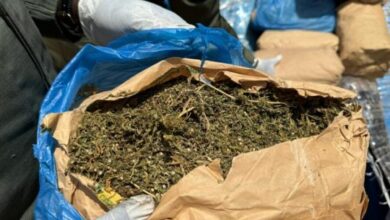 Afrique de l’Ouest : expansion du fléau de la drogue (rapport)