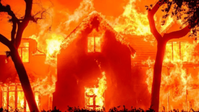 Les incendies de Los Angeles "sont les plus destructeurs" de l'histoire de la ville