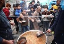 PAM : Nous n’avons pas pu transporter de fournitures à Gaza depuis le début du mois.