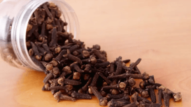 Ce que le clou de girofle apporte à notre corps