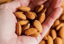 Sept aliments que vous devriez consommer davantage dès maintenant