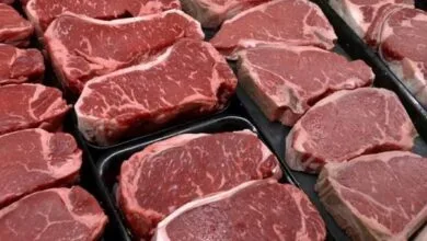 Mauritanie. «Le prix de la viande est tellement monté qu’il touche le ciel»: la réalité terre-à-terre du Ramadan