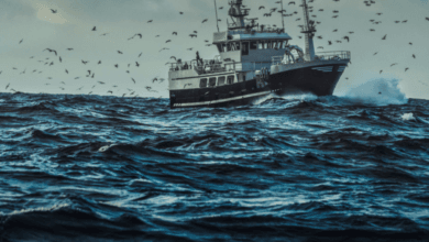 Algérie–Mauritanie : vers un protocole d’accord pour l’accès de navires de pêche algériens