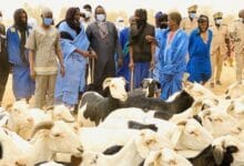 Tabaski 2026 : la Mauritanie envoie plus de 123 000 têtes pour le marché sénégalais