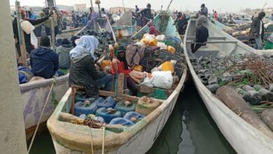 Campagne d’inspection à grande échelle des navires de pêche dès le 11 mai prochain